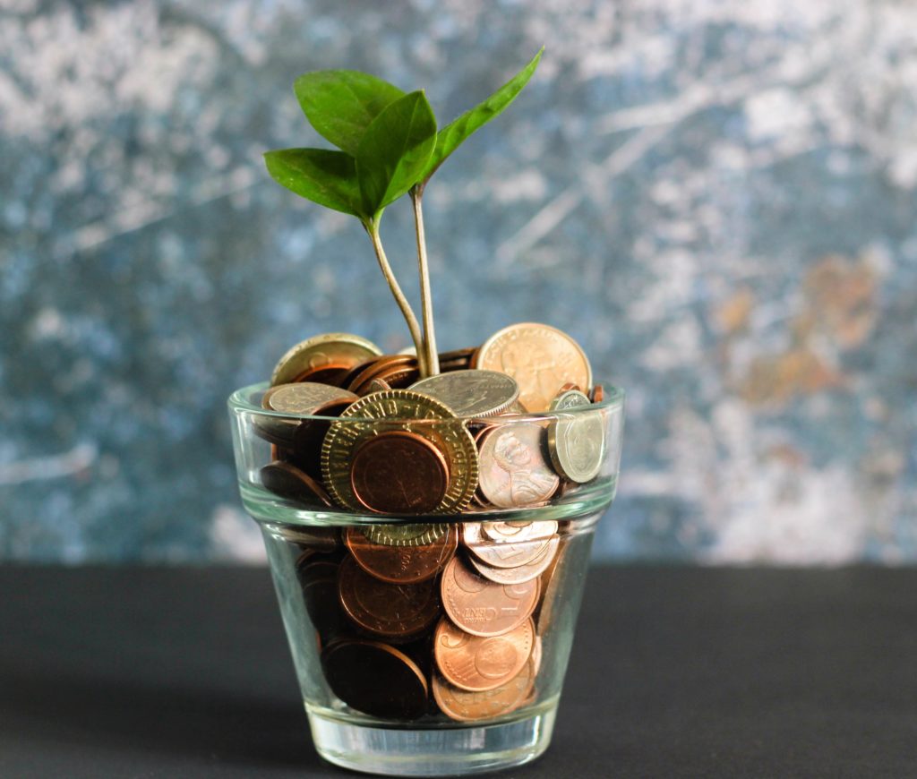 image of a plant growing in a coin filled pot representing ways to save money on ac bill.